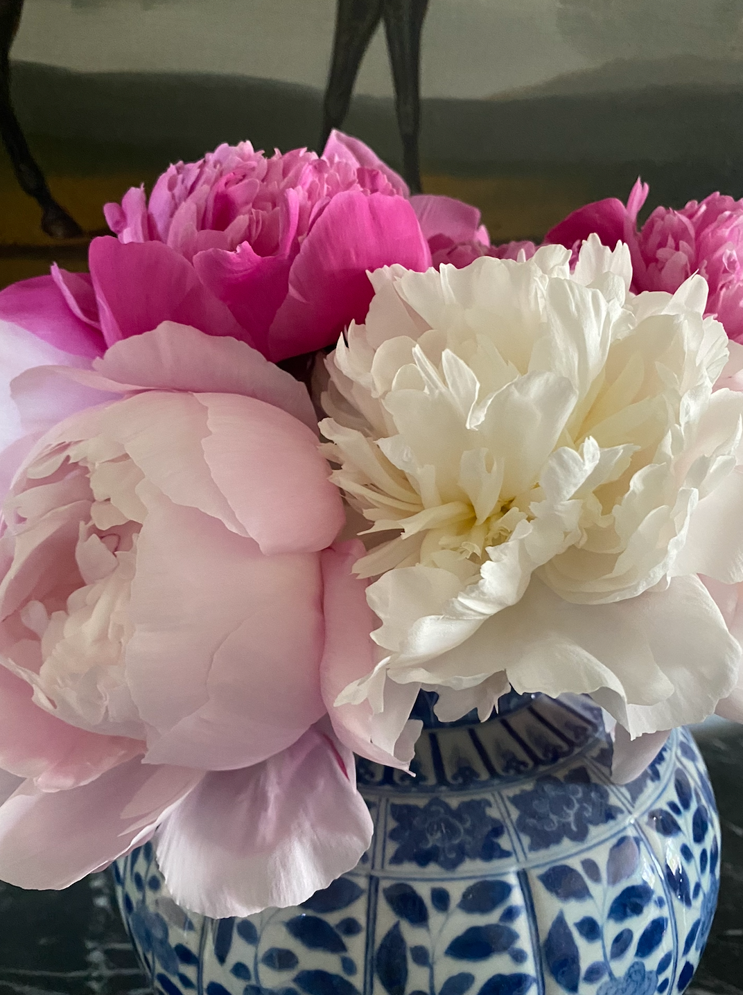 Bowl of Peonies