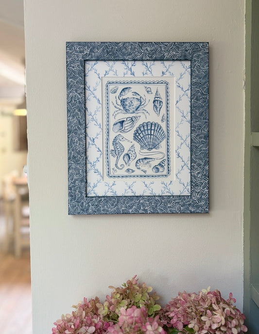 Blue and White Seashells