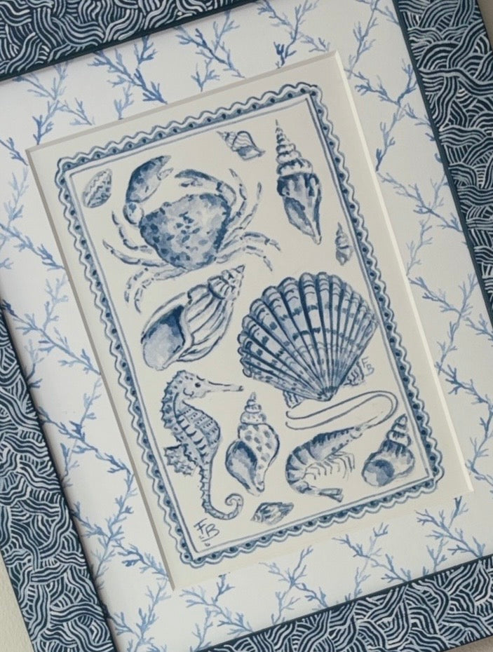 Blue and White Seashells