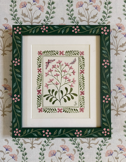 Pink Limonium