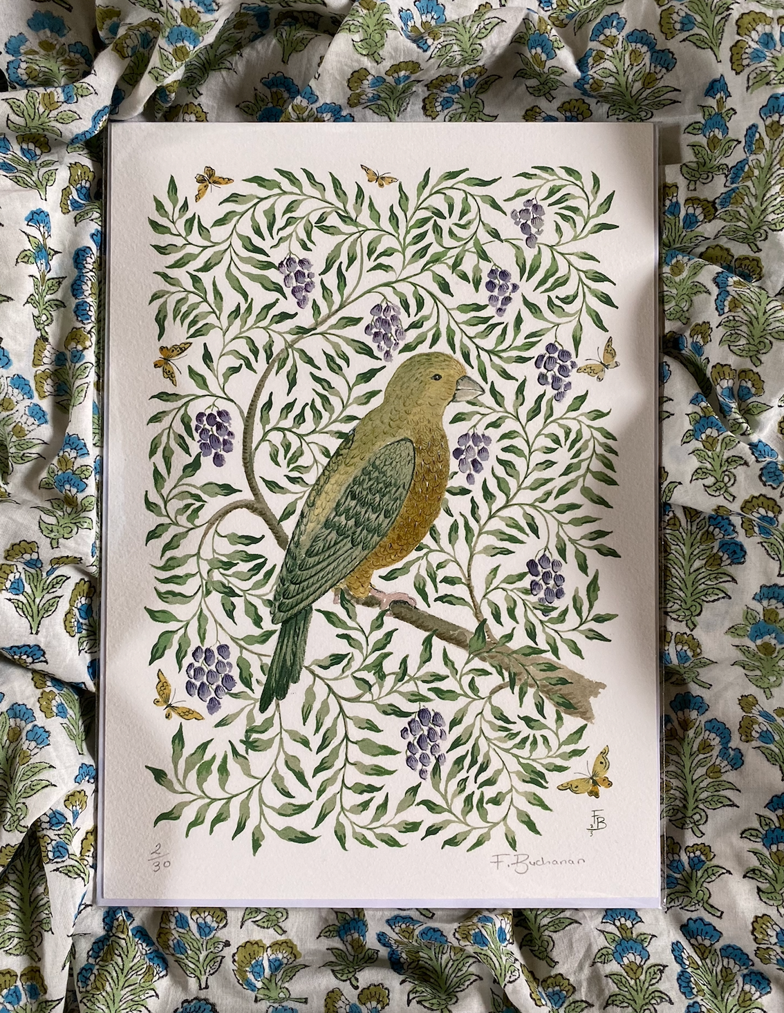 Limited Edition Print - Greenfinch and berries