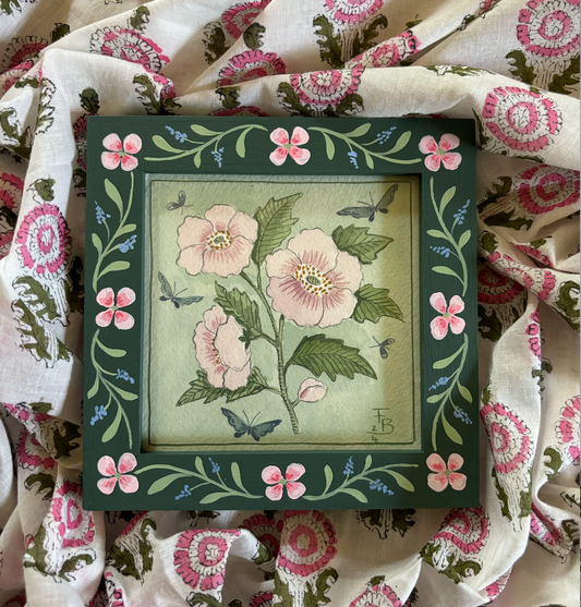 Pink Anemones