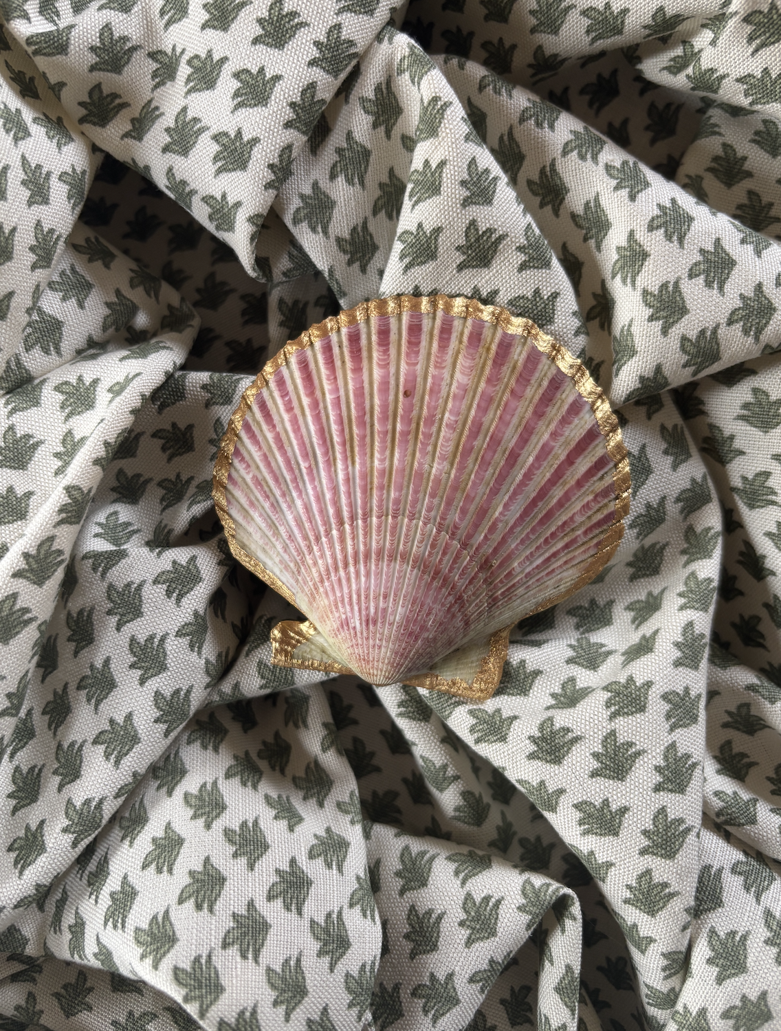 Small hand-painted scallop shell - Clementine