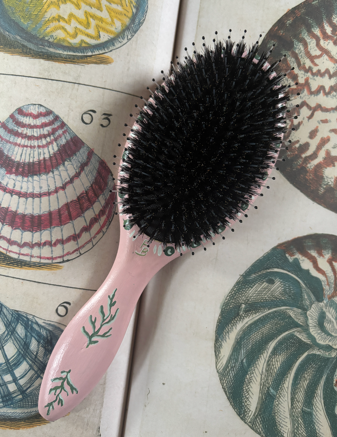 Hairbrush - Seahorse (Large)
